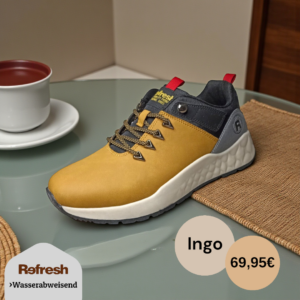 Ingo